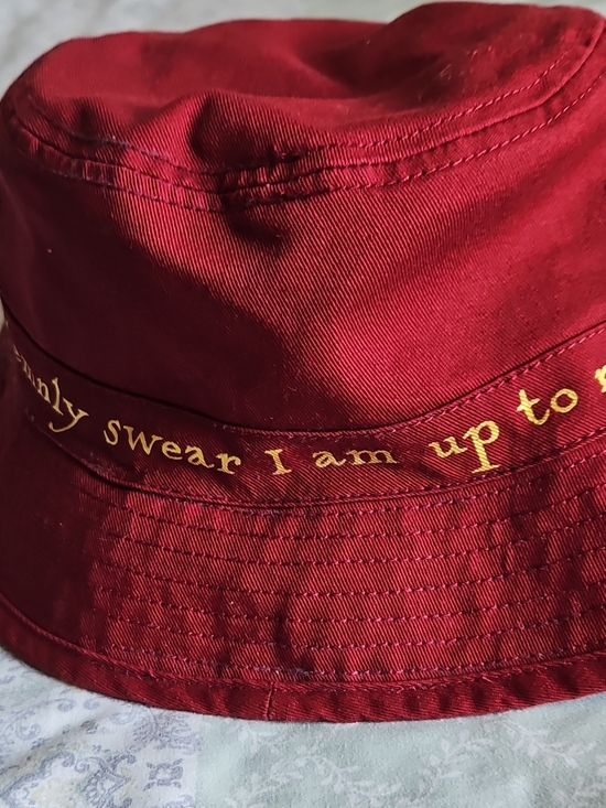 Walt Disney Other - Kids Red Bucket Hat with Gold Script